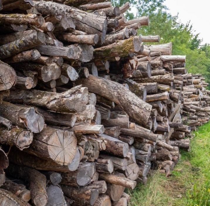 Achat/vente de bois de chauffage de particulier à particulier - Actualité  forestière - Taurë